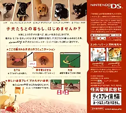 Image n° 2 - boxback : Nintendogs - Miniature Dachshund & Friends